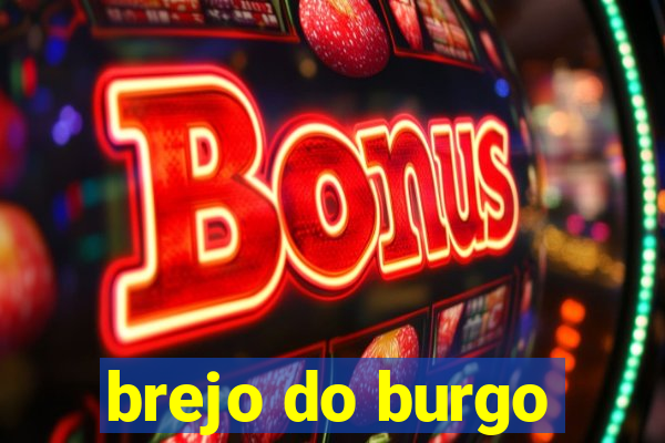 brejo do burgo