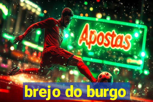 brejo do burgo