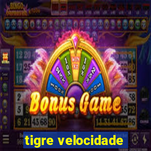 tigre velocidade