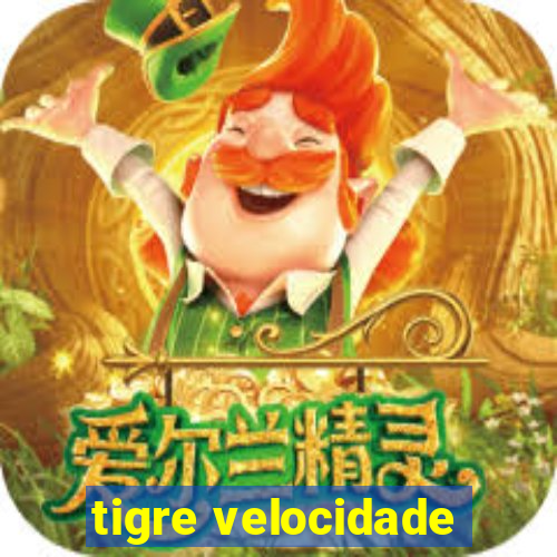 tigre velocidade