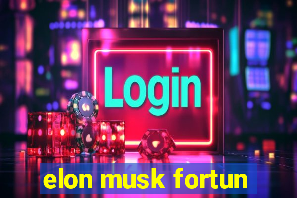 elon musk fortun