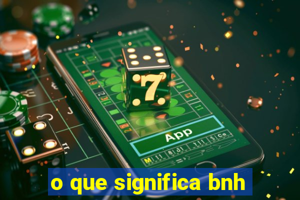 o que significa bnh