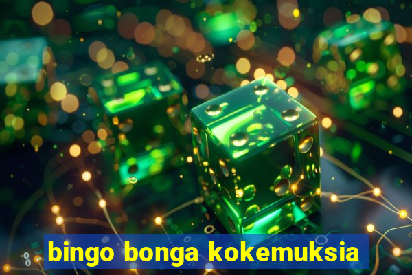 bingo bonga kokemuksia