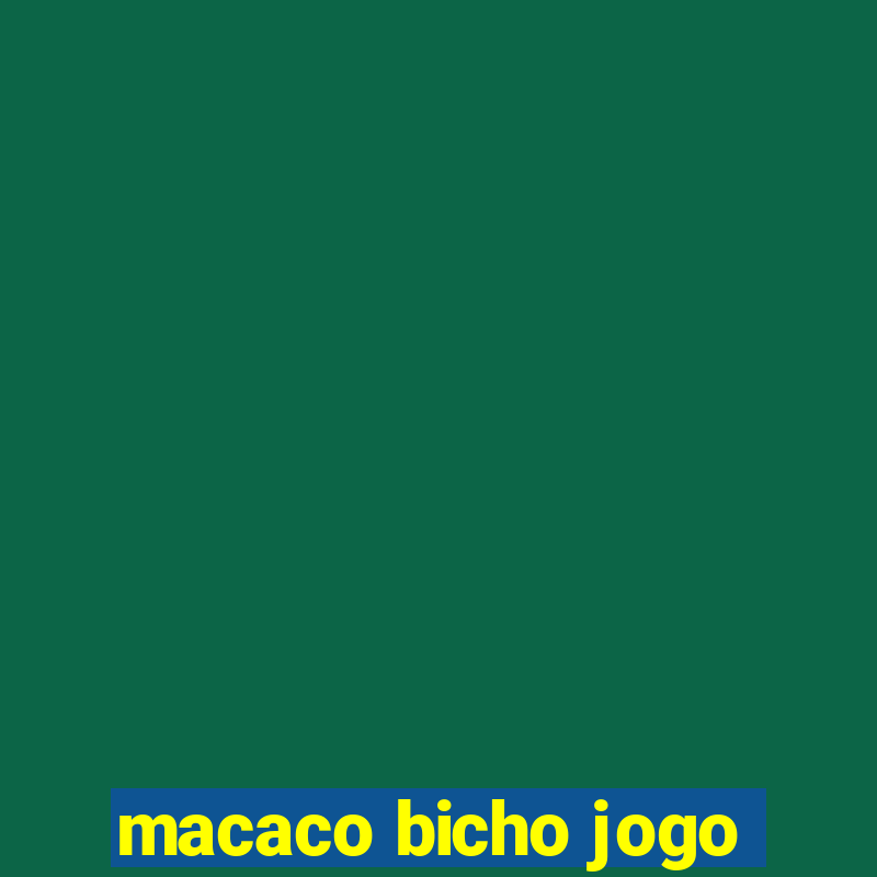 macaco bicho jogo