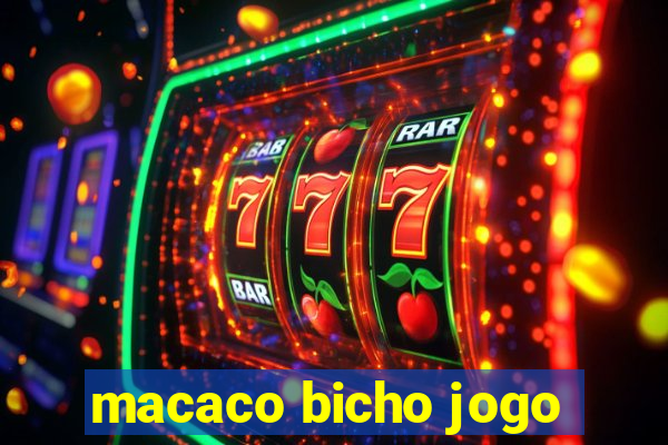 macaco bicho jogo