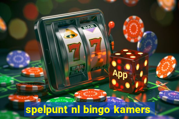 spelpunt nl bingo kamers