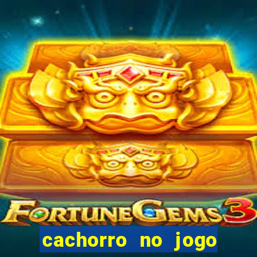 cachorro no jogo do bicho