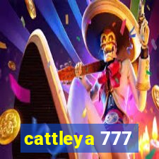 cattleya 777