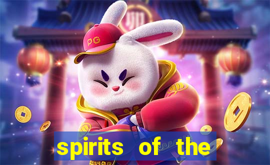 spirits of the storm slot free