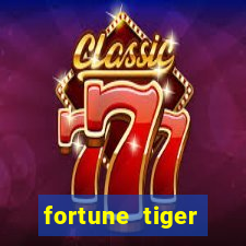 fortune tiger esportes da sorte