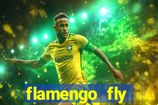 flamengo fly emirates ultimas noticias