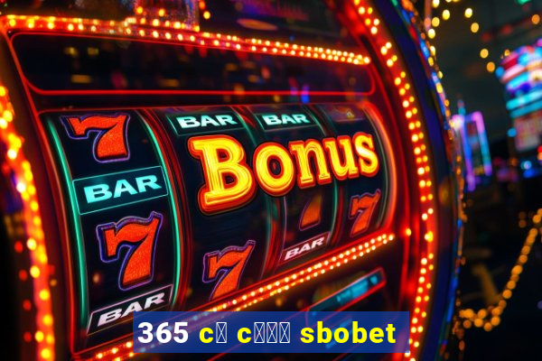 365 c谩 c瓢峄 sbobet