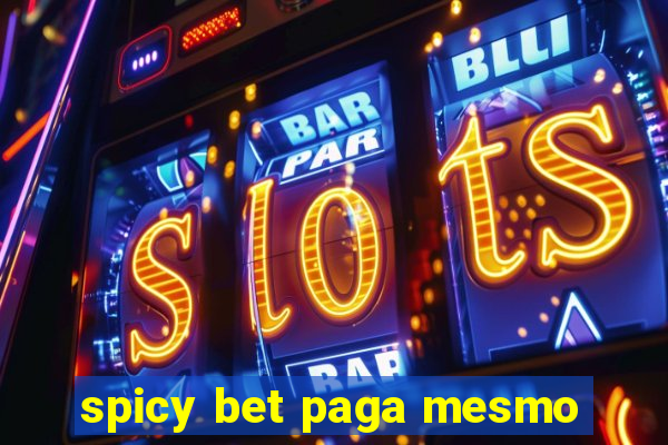 spicy bet paga mesmo