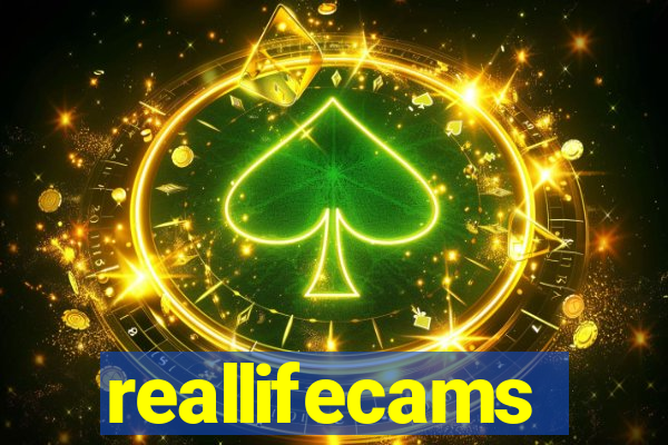 reallifecams