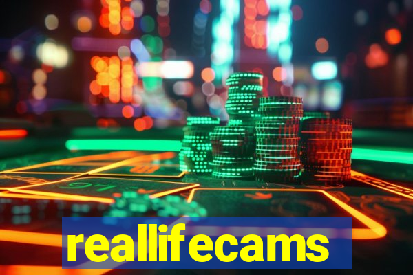 reallifecams