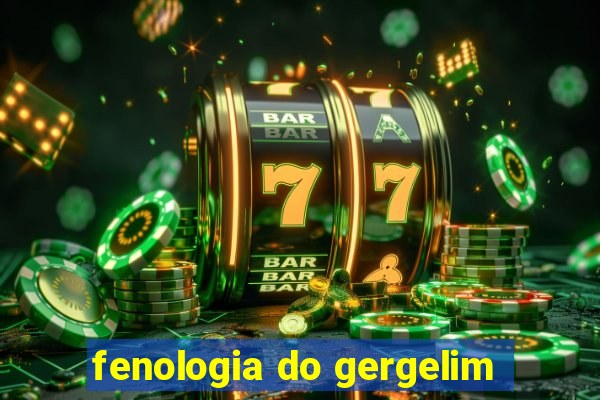 fenologia do gergelim