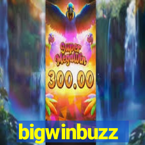 bigwinbuzz