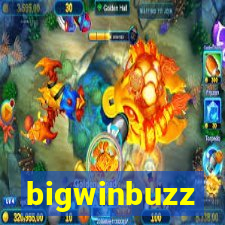 bigwinbuzz