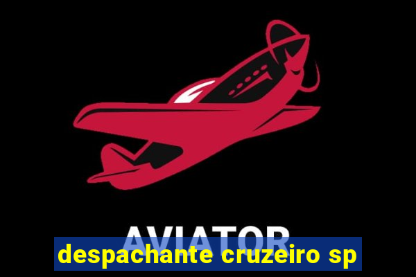 despachante cruzeiro sp