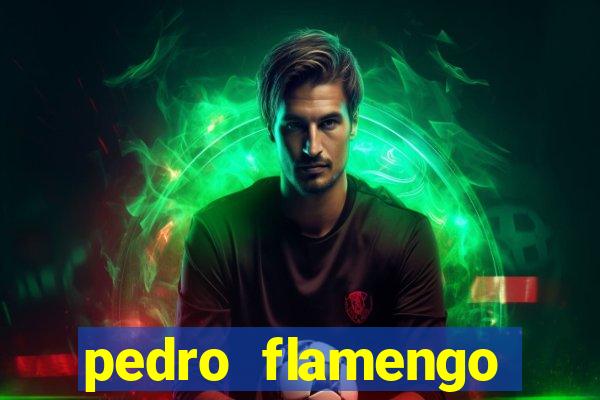 pedro flamengo antes e depois