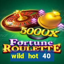 wild hot 40 christmas slot