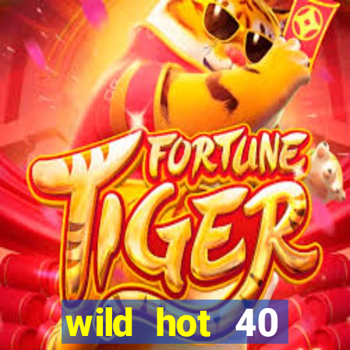 wild hot 40 christmas slot