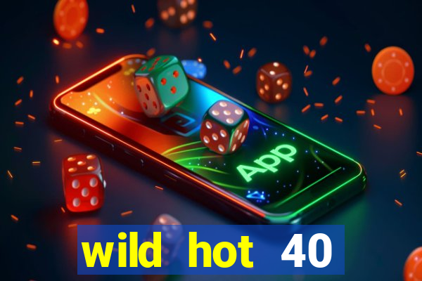 wild hot 40 christmas slot