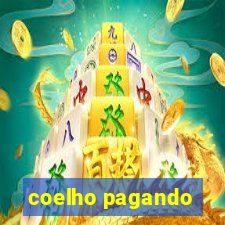 coelho pagando