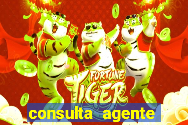 consulta agente autuador sp