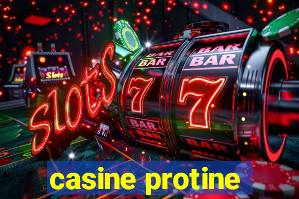 casine protine