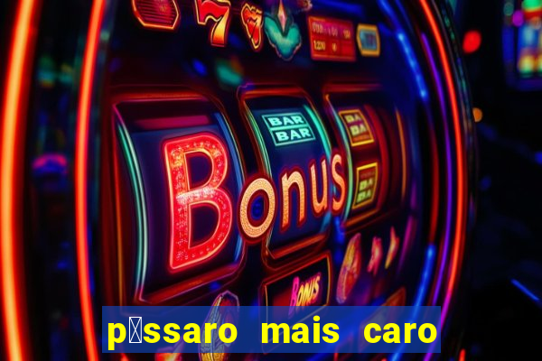 p谩ssaro mais caro do mundo