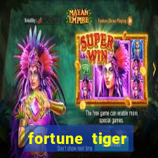 fortune tiger melhor horario