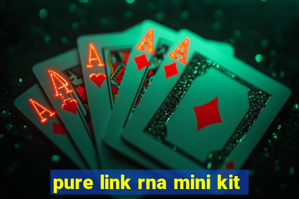 pure link rna mini kit