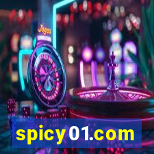 spicy01.com