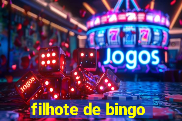 filhote de bingo