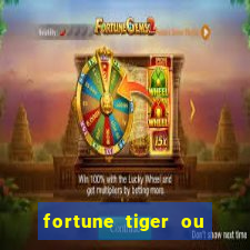 fortune tiger ou fortune rabbit