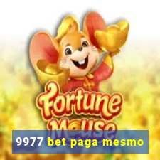 9977 bet paga mesmo