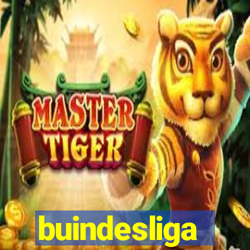 buindesliga