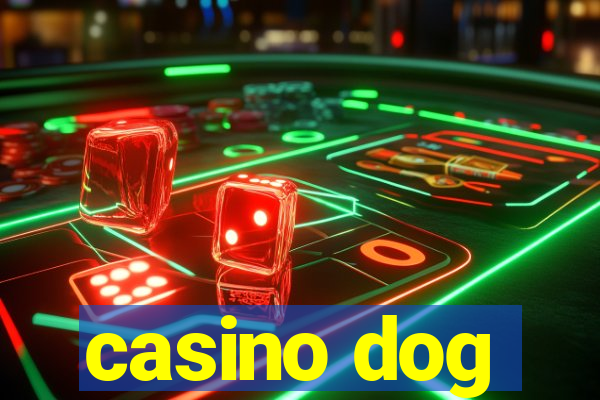 casino dog