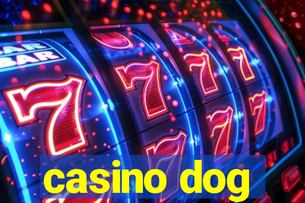 casino dog