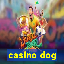 casino dog