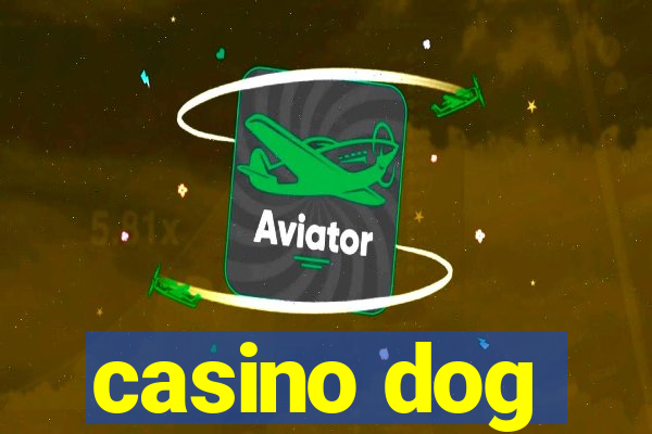 casino dog