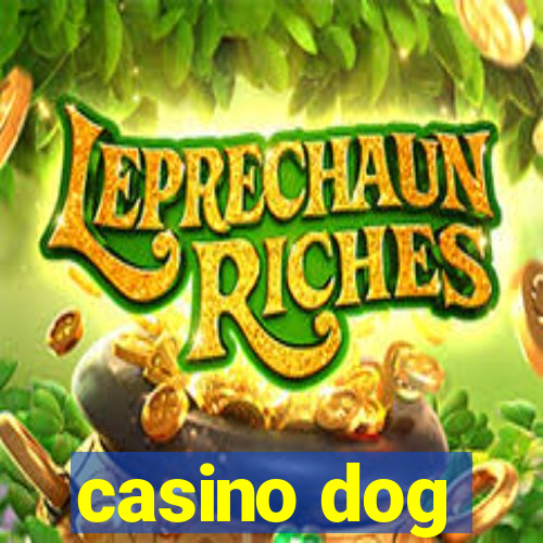 casino dog