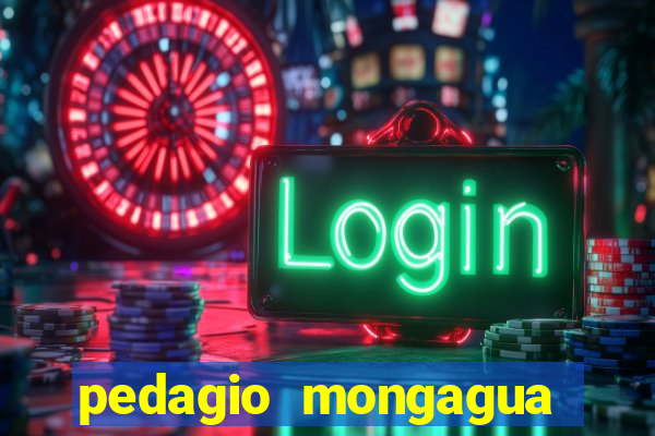 pedagio mongagua sao paulo