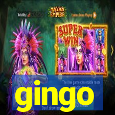 gingo