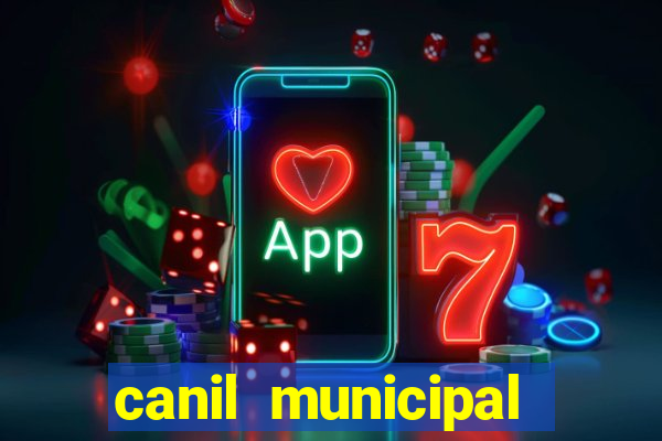 canil municipal porto alegre