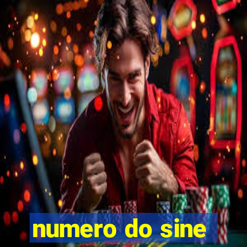 numero do sine