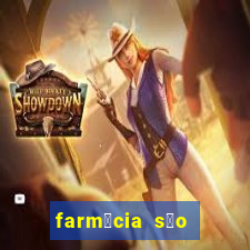 farm谩cia s茫o paulo sarandi