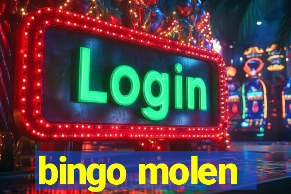 bingo molen