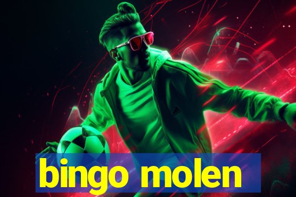 bingo molen